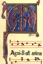 36J 4 x 12,2 cm